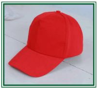 小红帽学生安全帽